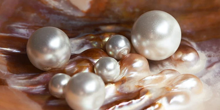 Facts About Pearls